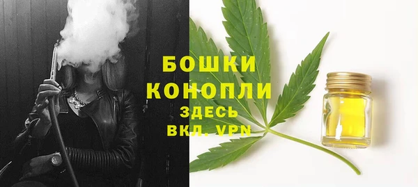 spice Арсеньев
