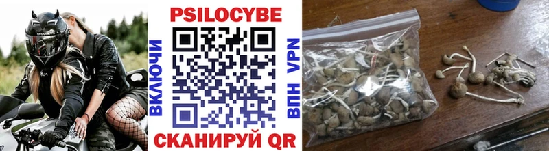Псилоцибиновые грибы Psilocybine cubensis  Мглин 