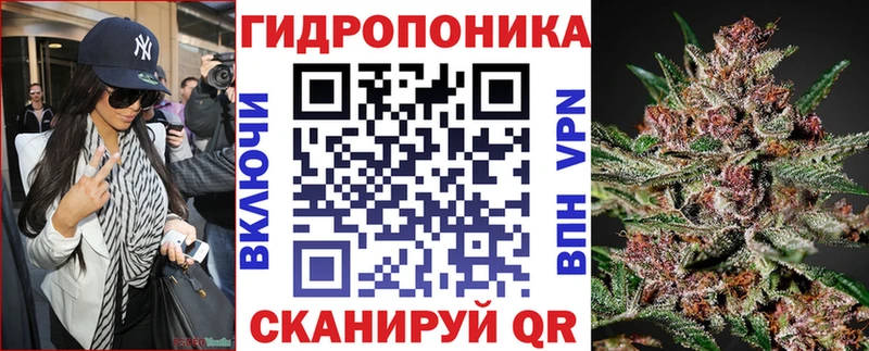 Бошки марихуана конопля  блэк спрут сайт  Мглин 